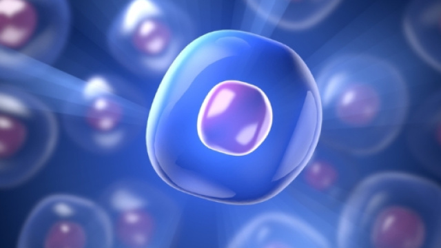 Cellule staminali totipotenti e regia embrionale