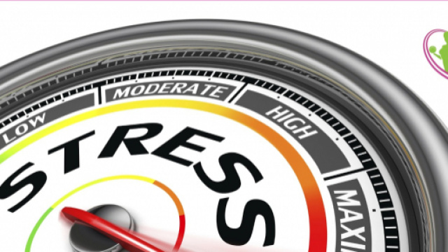 STRESS STRESS E ANCORA STRESS | Sani e Snelli 2.0 - blogspot.com