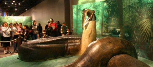 Maquete da Titanoboa / Wikimedia Commons