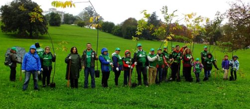 Reforestaci&oacute;n en el entorno de la Cueva de Altamira - blogspot.com