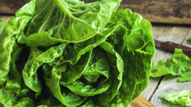 Lattuga pericolsa per la salute: ecco di cosa si tratta