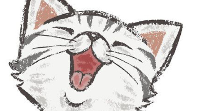 Un gatto trovatello eredita dalla sua padrona una cifra enorme