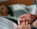 La eutanasia: el método para 'morir con dignidad'