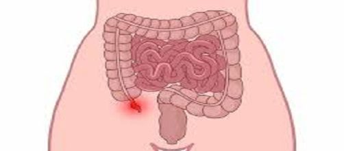El ap&eacute;ndice o ciego esta ubicado en la parte inferior derecha del abdomen.