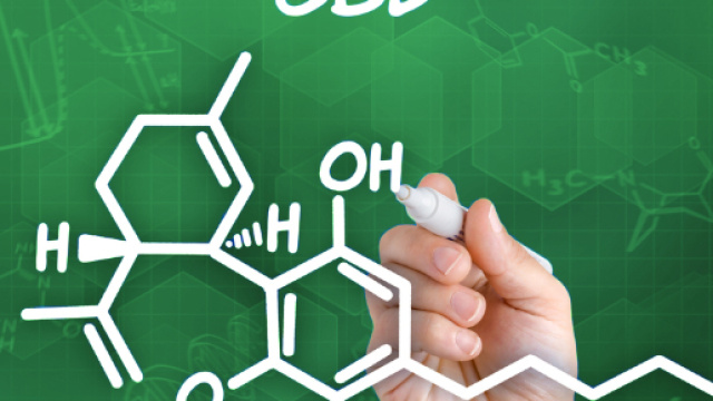 Secondo alcuni studiosi, il CBD aiuterebbe la persona a rilassarsi e servirebbe anche come palliativo all&rsquo;Alzheimer