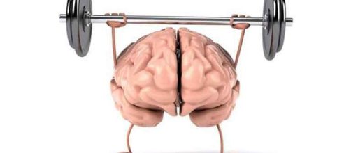 Previniendo el envejecimiento cerebral