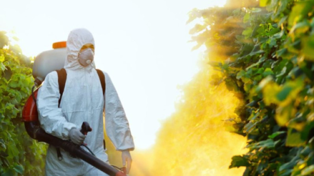 I pesticidi possono provocare il Parkinson: le nuove prove.
