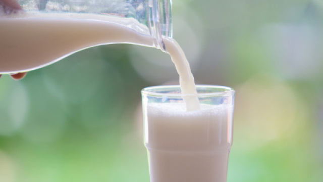 Latte di scarafaggio tra i superfood del futuro?