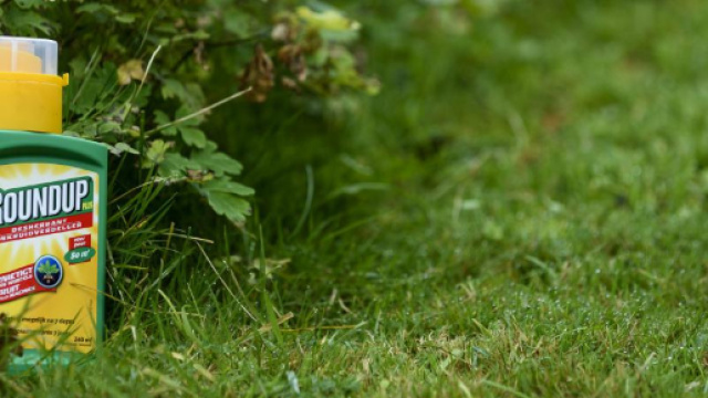 Le glyphosate est toujours utilisable pour les prochaines ann&eacute;es.