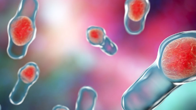 Microbioma: una nuova frontiera della ricerca contro i tumori