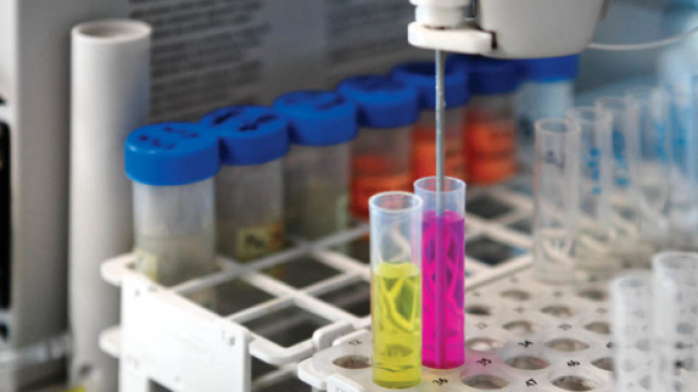 Pescara,180 bambini contaminati dal batterio della carne a scuola