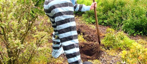 Digging a hole. - [Image via Pixabay / Maret Hosemann]