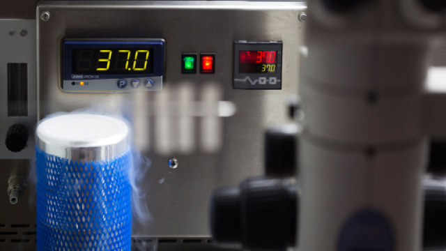 Embriologia (Assisting Hatching, IMSI, FISH, DNA Fragmentation)