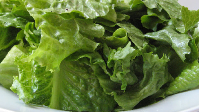 Lattuga killer negli Usa: arriva un epidemia