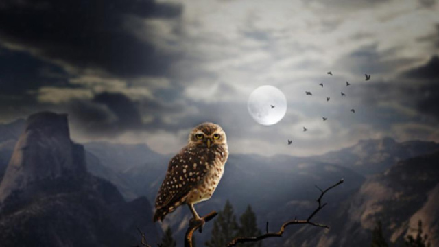 Oroscopo di domani 11 maggio 2018: segno 'top' del giorno, l'Ariete