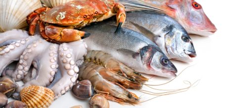 Pescado fresco, c&oacute;mo saber si est&aacute; bueno o no