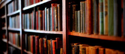 Photo Credit: https://www.flickr.com/photos/evergreenkamal/