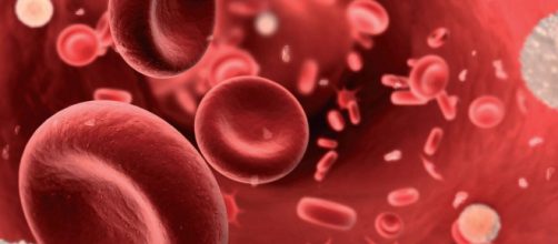 &iquest;Puedes enfermarte por un beso? - mindomo