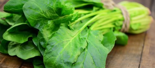 Variedades de espinaca, importante su uso para la salud