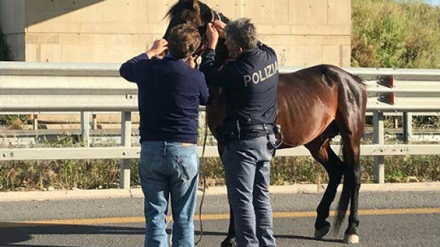 L'intervento della polizia sulla Statale 640