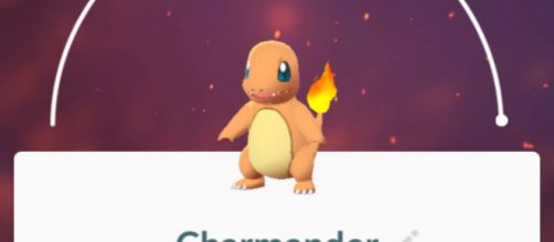 Charmander's evolutionary line has the spotlight for May's Community Day. Image via Sierra Hawkins/Author