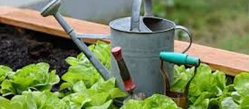 Gardening has a lot of health benefits. - [Wikimedia Commons / Public Domain]