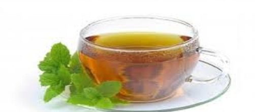 Las plantas no siempre son beneficiosas