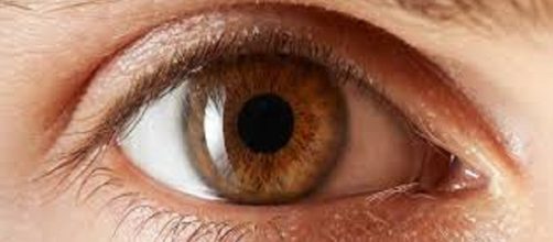 La retina, tu ventana al mundo &iexcl;cu&iacute;dala!