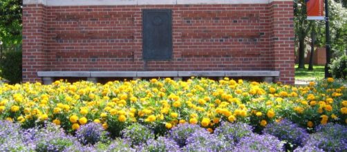 Photo courtesy: Douglas Green/Creative Commons