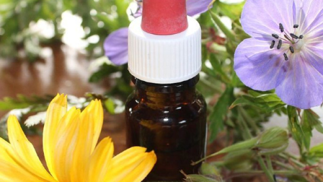 Omeopatia: arriva il 'No' da parte della Fnomceo - leccenews24.it