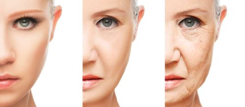 C&eacute;lulas Madre: el secreto de la eterna juventud