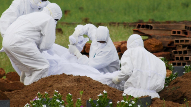 Il virus denominato Nipah sta letteralmente flagellando la popolazione indiana