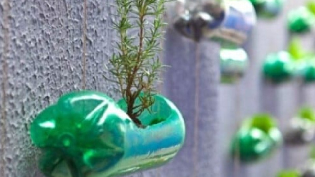 trasformare-i-rifiuti-in-vasetti-per-piante (4) | Non Sprecare - nonsprecare.it