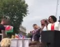 Geert Wilders speaks at Free Tommy Robinson rally in London, police clash
