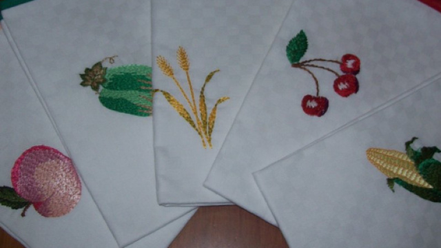 strofinacci da cucina: probabile causa di intossicazione