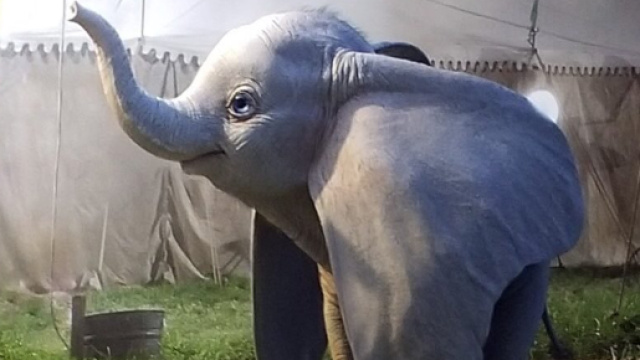 Dumbo live-action remake dalla penna di Tim Burton e Disney