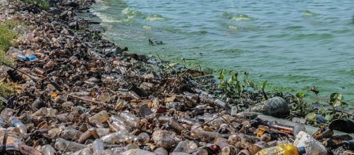 An example of plastic pollution in a lake in Venezuela (Image source &ndash; The Photographer, Wikimedia Commons)