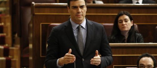 Pedro S&aacute;nchez acusado de haber falseado su curriculum
