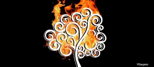 El tigre nicarag&uuml;ense y las emociones del contrapoder | Am&eacute;rica 2.1 - americanuestra.com