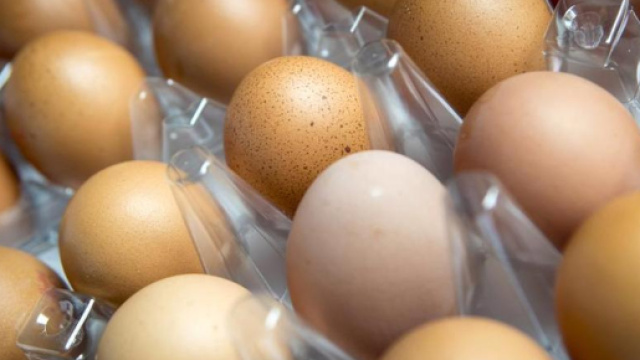 Uova contaminate da antibiotici usati illegalmente: ritirate a milioni in Polonia, a migliaia in Germania.