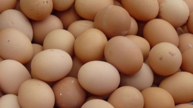 Uova contaminate sequestri - Codacons Sicilia - codaconsicilia.it