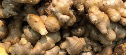 Beneficios del jengibre para tu salud