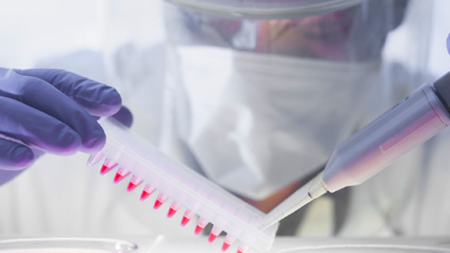 Microbioma e terapie anticancro, nuove importanti scoperte