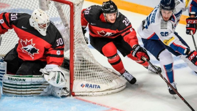 Hockey su ghiaccio: il mercato fino ad oggi.