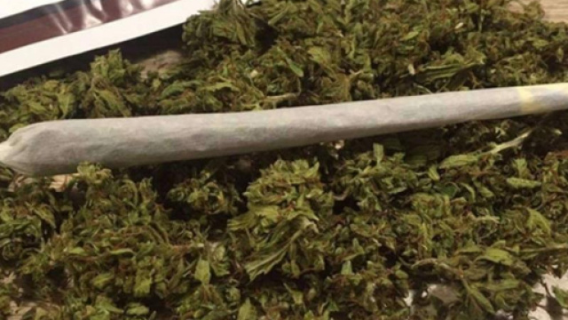 lI Consiglio Superiore Sanit&agrave; dice no alla vendita di cannabis light