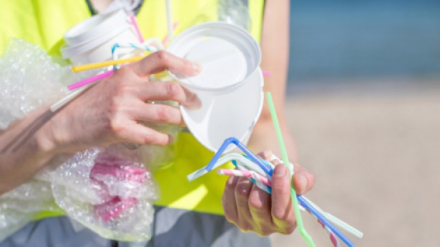 D&eacute;chets dans la mer : les pailles en plastique bient&ocirc;t interdites ? - 1jour1actu.com