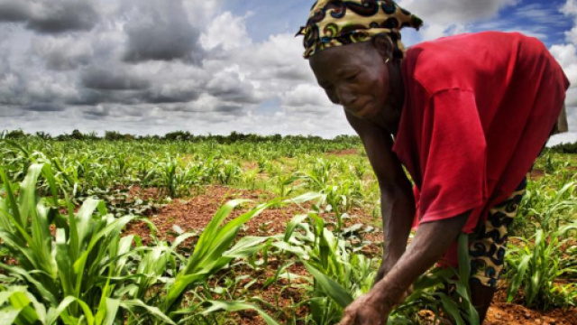 Cameroun : ouverture du Salon de l'agriculture consacr&eacute; &agrave; la ... - rfi.fr