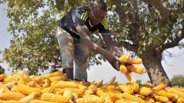 L'Afrique et ses terroirs: une nouvelle histoire - RFI - rfi.fr