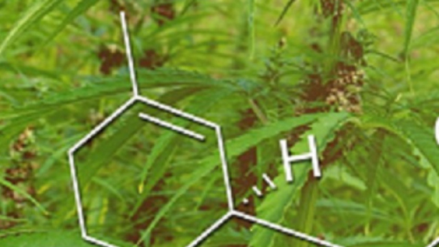 CBD fuori dai farmaci per ora marzo 2018 (www.dolcevitaonline.it)