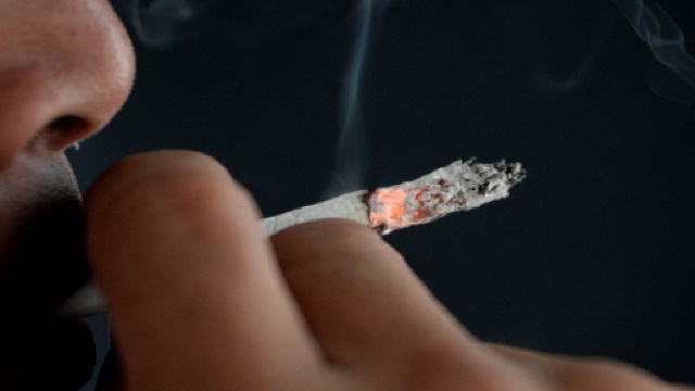 Sant&eacute; : quatre cancers sur dix pourraient &ecirc;tre &eacute;vit&eacute;s selon une &eacute;tude